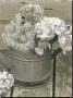 Antique Blooms L by Dianne Poinski Limited Edition Print