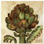 Artichoke by Suzanne Etienne Limited Edition Print