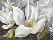 Tender Magnolia I by Anna Field Limited Edition Pricing Art Print