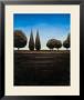 Earth And Aqua I by Joel Harris Limited Edition Print