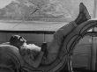 Actor Errol Flynn Holding Drink, Relaxing On His Yacht During A Fishing Trip by Peter Stackpole Limited Edition Print