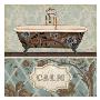 Bathroom Bliss Ii by Lisa Audit Limited Edition Pricing Art Print