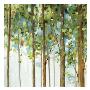 Forest Study Iii by Lisa Audit Limited Edition Pricing Art Print