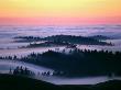Mount Tamalpais With Fog, California, Usa by Bob Cornelis Limited Edition Print