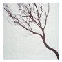Silhouette Of A Tree Branch by Images Monsoon Limited Edition Print