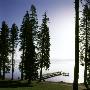 Dock At Ehrman Mansion, Sugar Pine Point State Park, Lake Tahoe, California, Usa by Images Monsoon Limited Edition Print