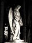 Cemetery Statue Of Angel by Ilona Wellmann Limited Edition Print