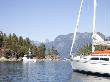 Sailboats At Anchor In Unesco Protected Desolation Sound by Taylor S. Kennedy Limited Edition Print