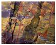 Petrified Wood Ii by Danny Burk Limited Edition Print