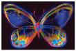 Butterfly Ii by Harold Davis Limited Edition Print