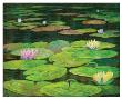 Lilly Pads I by Jerrie Glasper Limited Edition Print