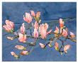 Magnolia Branch by Sharon Pitts Limited Edition Print