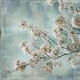 Aqua Blossoms I by John Seba Limited Edition Print