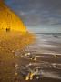 Golden Sandstone Cliffs At West Bay On The Jurassic Coast, Dorset, England, Uk by Adam Burton Limited Edition Print