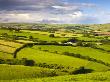 Rolling Countryside Near Kentisbury, Exmoor National Park, Devon, England, United Kingdom, Europe by Adam Burton Limited Edition Print