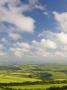 Spectacular Rolling Countryside Of Exmoor National Park And Rural Devon, England, United Kingdom by Adam Burton Limited Edition Print
