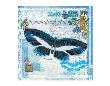 Butterfly Artifact Blue by Alan Hopfensperger Limited Edition Pricing Art Print