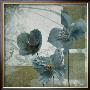 Cerulean Poppies Ii by Robert Lacie Limited Edition Print