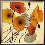 Pumpkin Poppies Ii by Shirley Novak Limited Edition Print