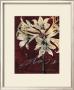 Cabernet Blossoms Ii by Elizabeth Jardine Limited Edition Print