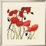 Poppies And Cream I by Shirley Novak Limited Edition Print