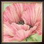 Pink Poppy Flower Head by Lynne Misiewicz Limited Edition Pricing Art Print