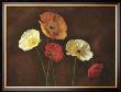 Poppy Perfection I by Janel Pahl Limited Edition Print