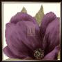 Grandiflora Blush Ii by Linda Wood Limited Edition Print