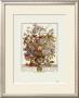 Twelve Months Of Flowers, 1730, July by Robert Furber Limited Edition Print
