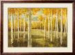 Aspens by Danhui Nai Limited Edition Pricing Art Print
