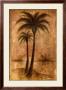 Whispering Palm I by Ruane Manning Limited Edition Print