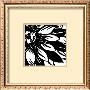 Miniature Botanical Sketch Vi by Ethan Harper Limited Edition Print