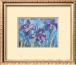 Irises by Lisa V. Keaney Limited Edition Pricing Art Print