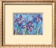 Irises by Lisa V. Keaney Limited Edition Print