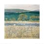 Landscape With Low Lying Sun, Northumberland by Lydia Bauman Limited Edition Print