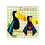 Rock A Toucan by Liza Lewis Limited Edition Pricing Art Print