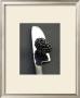 Blackberry And Knife by Sara Deluca Limited Edition Print