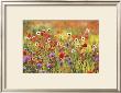 Poppy Field by Michael Peuckert Limited Edition Print