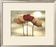 Icelandic Poppies by Yoshizo Kawasaki Limited Edition Print