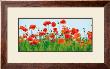 Poppy Fields by Jan Lens Limited Edition Pricing Art Print
