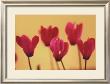 Cyclamen by Tatsuhiko Shimada Limited Edition Print