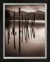 Forgotten Jetty , Derwent Water, Cumbria by Mike Shepherd Limited Edition Print