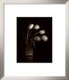 Dramatic Tulips by Dick & Diane Stefanich Limited Edition Pricing Art Print