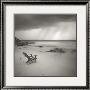 Storm by Moises Levy Limited Edition Print