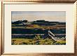Hills, South Truro, 1930 by Edward Hopper Limited Edition Pricing Art Print
