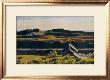 Hills, South Truro, 1930 by Edward Hopper Limited Edition Print