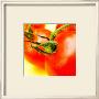 Polaroid Vegetable Iii by Jean-Franã§Ois Dupuis Limited Edition Print