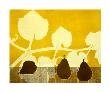 Three Olive Pears by Mary Margaret Briggs Limited Edition Print