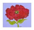 Red Flower by Soraya Chemaly Limited Edition Pricing Art Print