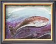 Whale by Silvana Crefcoeur Limited Edition Print